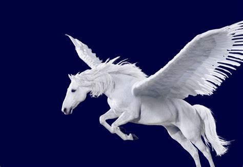 Image - Pegasus-3-copy-787x542.jpeg | Greek mythology – Karwacki's class Wiki | FANDOM powered ...