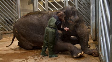 Keeper for a day - Prague Zoo