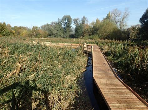 Raised Boardwalk & Wetland Boardwalk Design - The Wild Deck Company in 2024 | Wetland, Boardwalk ...