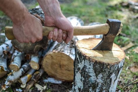 6 Ways to Sharpen an Axe (DIY Guide for a Sharp Edge)