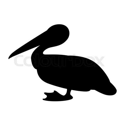 Pelican vector illustration, black ... | Stock vector | Colourbox