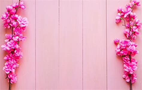 Wallpaper butterfly, flowers, pink, wood, pink, flowers, spring, butterflies images for desktop ...