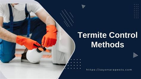 Termite Control Methods | Sayonara Pests