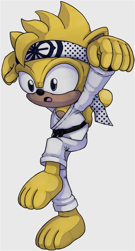 Karate Squirrel by FrostLightningX on DeviantArt