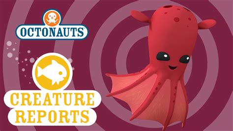 Octonauts: Creature Reports - Vampire Squids - YouTube