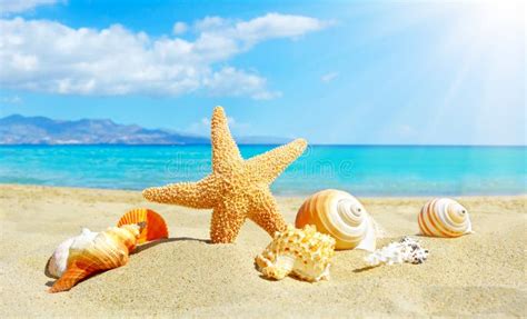 4,064,221 Summer Beach Stock Photos - Free & Royalty-Free Stock Photos from Dreamstime