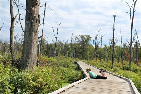 Discovering Trails 2 and 10 at Indiana Dunes State Park