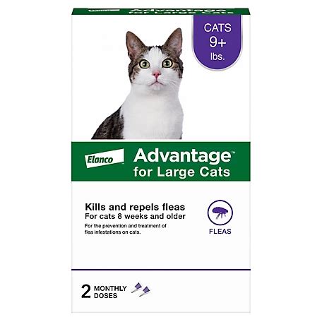 Advantage Topical Flea Prevention for Large Cats 9 lb. and Up, 2-Month Supply, 2 ct. at Tractor ...