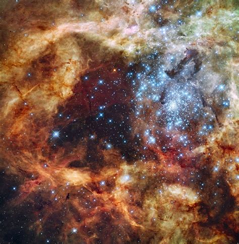 Tarantula Nebula - 30 Doradus (NGC 2070) – Constellation Guide