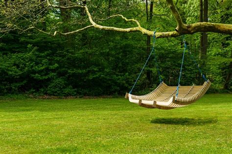 The Many Different Types of Tree Swings – Captain Patio