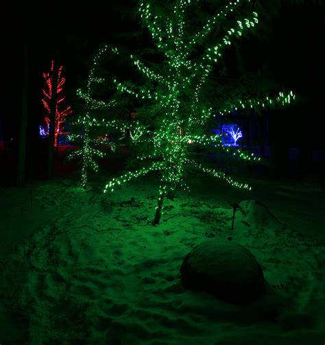 red-blue-green | Christmas Tree Lights | FIRMAN Irrigation &… | Flickr