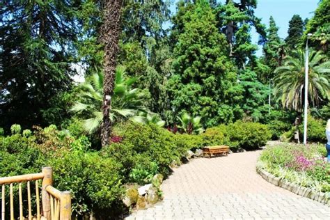 Batumi Botanical Garden