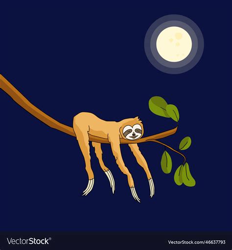 Adorable sloth sleeping on the tree charming Vector Image