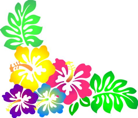 Hawaiian flower clipart border - WikiClipArt