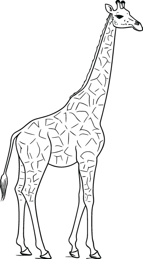 Giraffe coloring book for adults vector illustration. Anti-stress ...