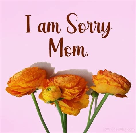 Sorry Mom – Telegraph