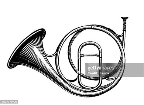 French Horn Drawing Photos and Premium High Res Pictures - Getty Images