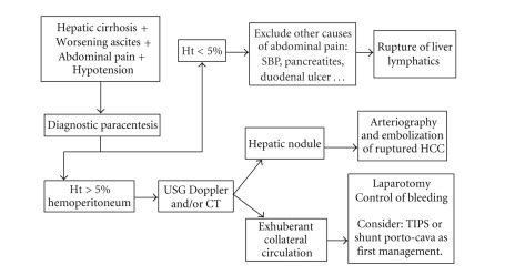 Fluxogram for diagnosis and treatment of hemoperitoneum in cirrhotic... | Download Scientific ...