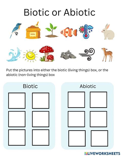 Ecosystem Worksheets Biotic Abiotic Lesson Resources Ecosystem – NBKomputer