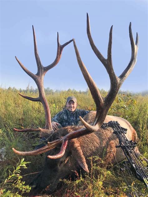 Fair-Chase 400-Inch Bull Elk — In Kentucky? | Grand View Outdoors