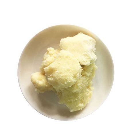 Organic Shea Butter - Unrefined | Vijay Impex