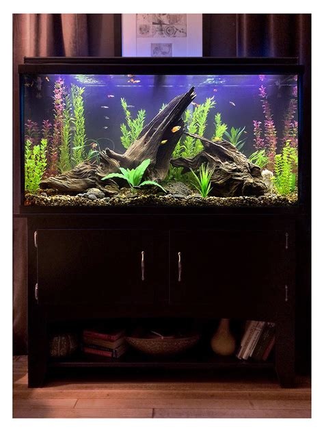 Most Beautiful Freshwater Tanks ( All Time ) | RateMyFishTank.com