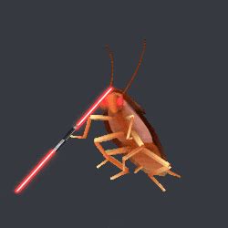 Dancing Cockroach GIFs - Find & Share on GIPHY