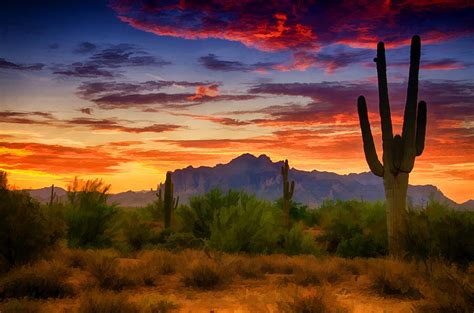 A Painted Desert Photograph by Saija Lehtonen