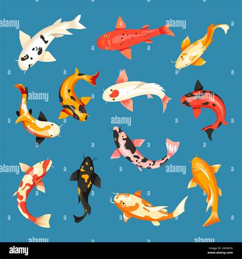 Japanese carp, koi fish in pond, Chinese goldfish Stock Vector Image & Art - Alamy