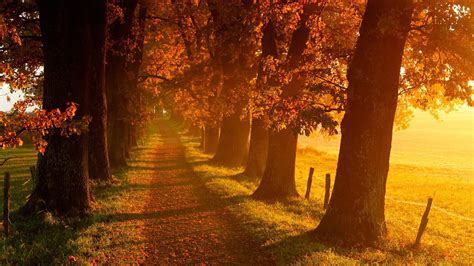 Fall Landscape Wallpapers - Wallpaper Cave