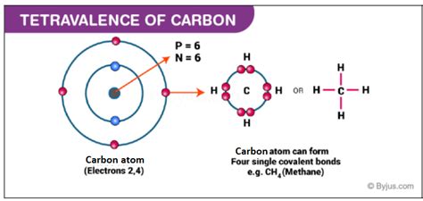 Carbon Atom Diagram