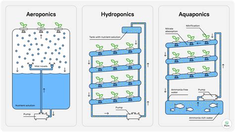 What are vertical farming systems? Here’s all you need to know