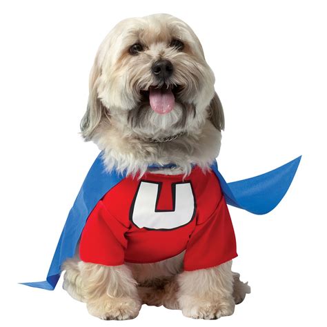 Top 10 Dog Costumes You Can Buy at the Store - Fuzzy Today