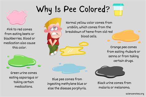 Porphyria Urine Color