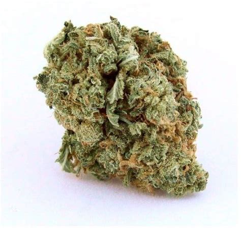 Blue Dream - Potent Clinic Dispensary