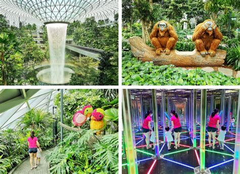 Canopy Park at Jewel Changi Airport: A Detailed Guide