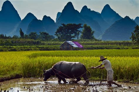 🔥 [40+] Vietnam Countryside Scenery Wallpapers | WallpaperSafari