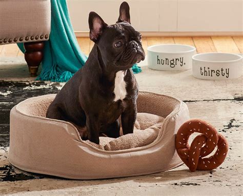 Dog Beds You'll Love | Wayfair