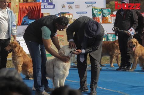 Adam the German Shepard wins the Kathmandu Dog Show 2023 - The Buzz Nepal