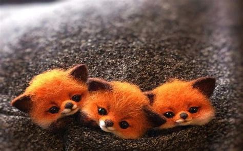 Cute Baby Fox Wallpaper