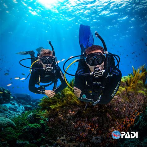 The PADI Open Water Diver course - Ocean Enterprises