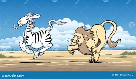 Lion Hunting A Zebra Stock Photo - Image: 30313810