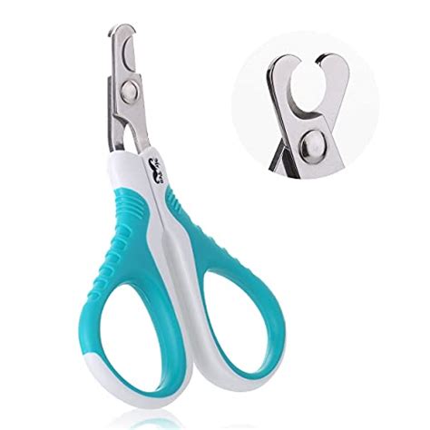 The Best Cat Nail Clippers (According to a Veterinarian) - Pets Digest