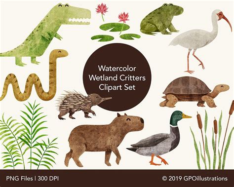 Wetlands Animals Watercolor Clipart Cute Swamp Animals - Etsy España