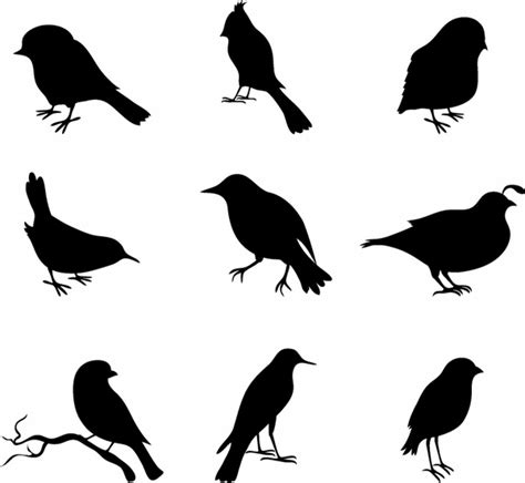 Bird vectors free download 3,677 editable .ai .eps .svg .cdr files