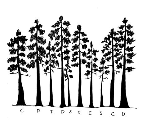 5.4 Field Technique Tips for Determining Crown Class and LCR – Forest Measurements