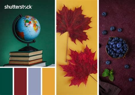 10 FREE Back to School Color Palettes