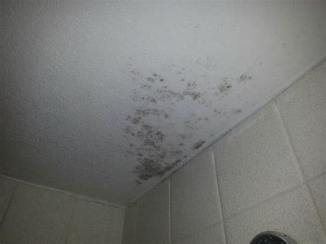 What To Do With Mold On Bathroom Ceiling - Bathroom Poster