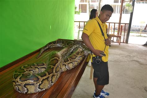 Palawan: Palawan Wildlife Rescue and Conservation Center