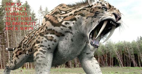 TOP 10 EXTINCT ANIMALS THAT WILL BE BROUGHT BACK